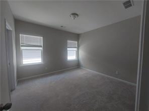 3473 Minister Alley - Photo 19