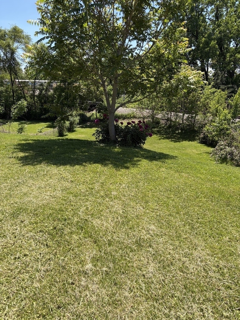 315 Pierce Street - Photo 19