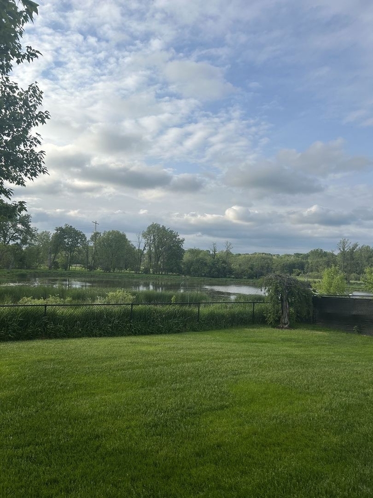 527 Springwood Lane - Photo 30