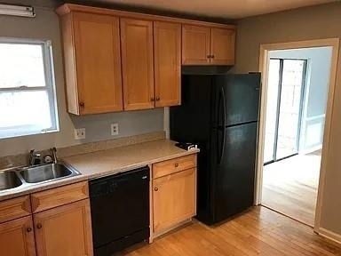3681 Autumn Leaves Lane - Photo 5