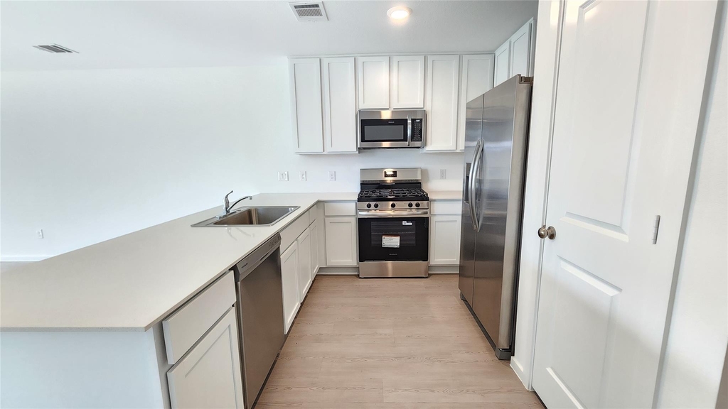 6303 Geyser Starish Drive - Photo 4