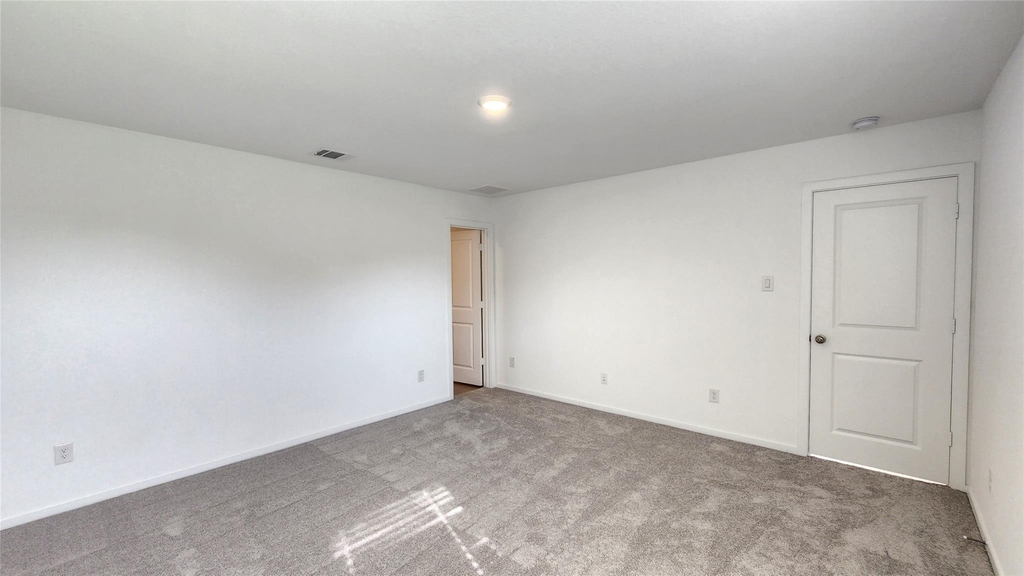 6303 Geyser Starish Drive - Photo 11