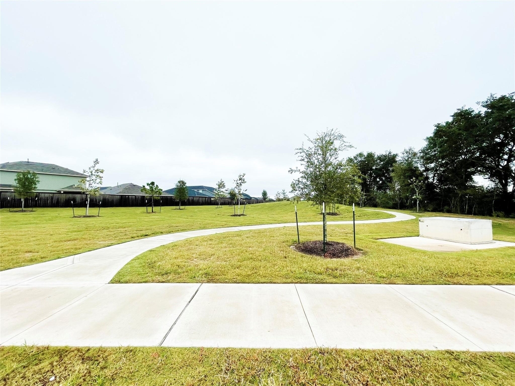 6606 Verbena Blossom Trail - Photo 24
