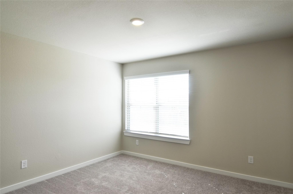 6606 Verbena Blossom Trail - Photo 13