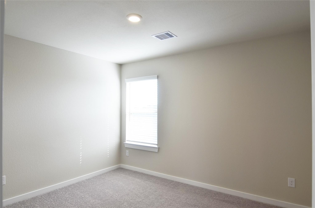6606 Verbena Blossom Trail - Photo 17