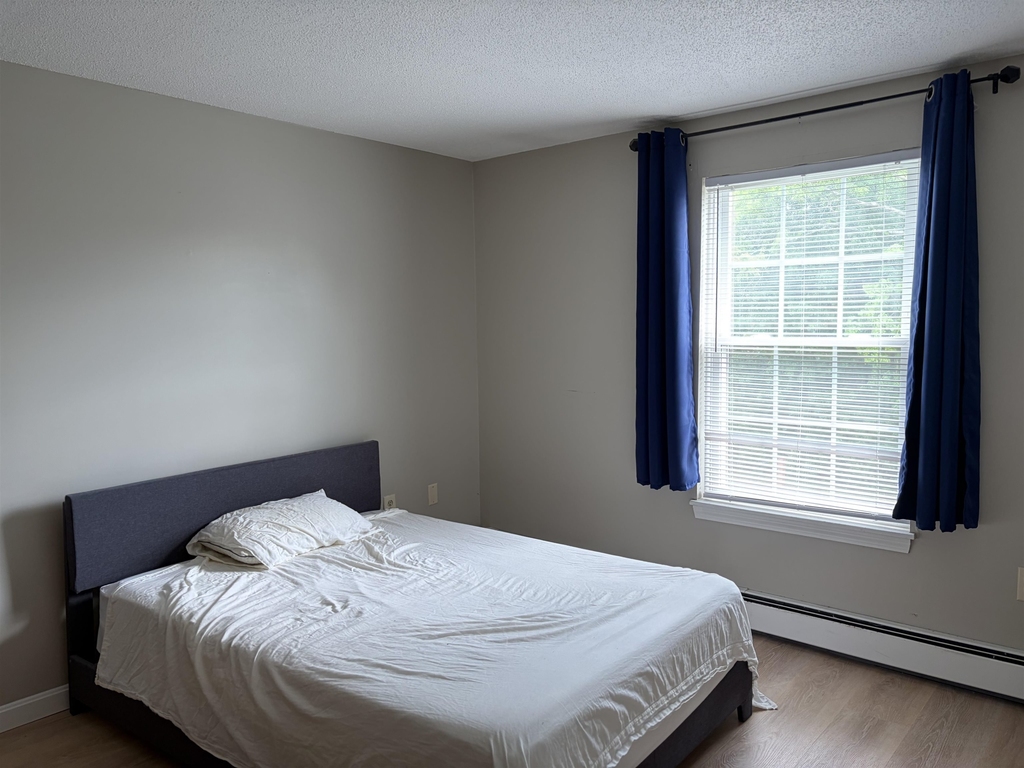 1610 White Cedar - Photo 11