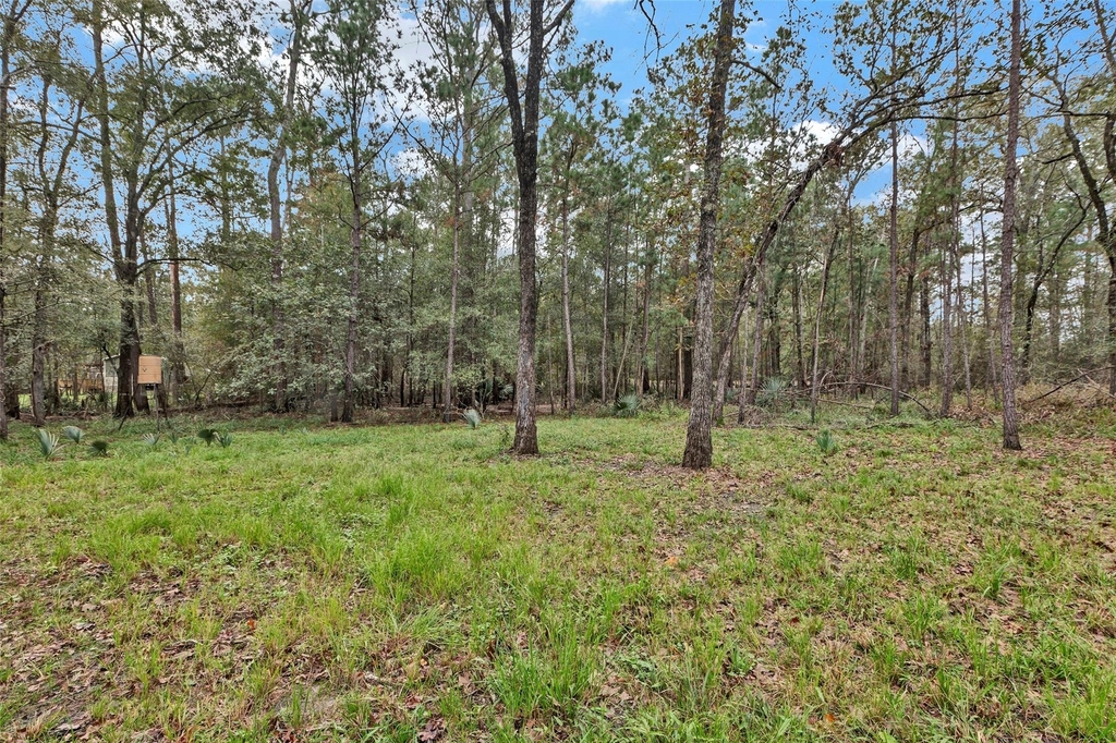 271 Shoreline Drive - Photo 19