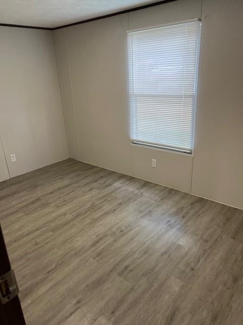 16889 Interstate 45 North N - Photo 2