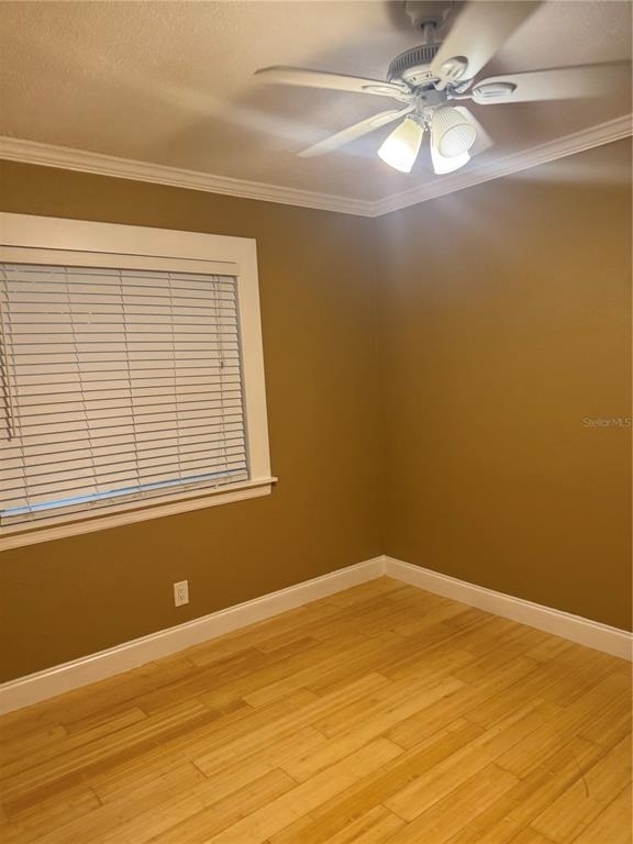 1701 53rd Street S - Photo 7