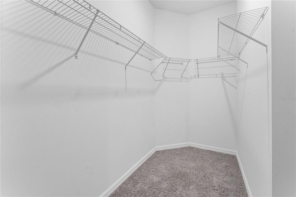 31351 Paper Birch Street - Photo 18