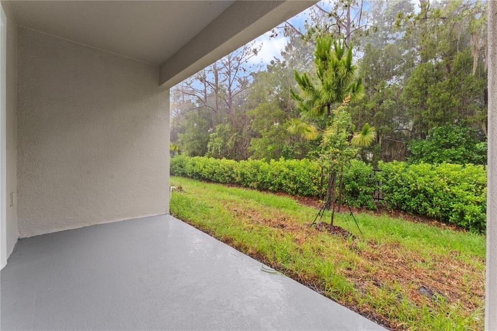 31351 Paper Birch Street - Photo 30
