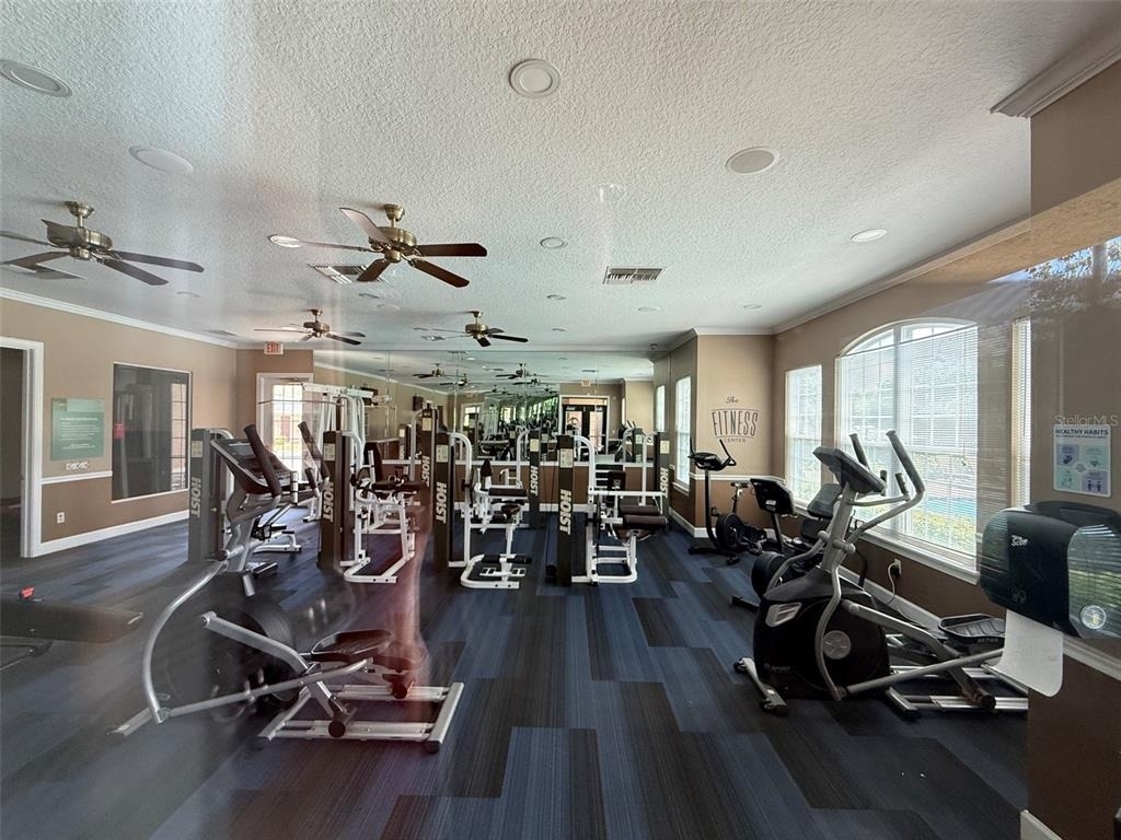 14316 Fredricksburg Drive - Photo 19