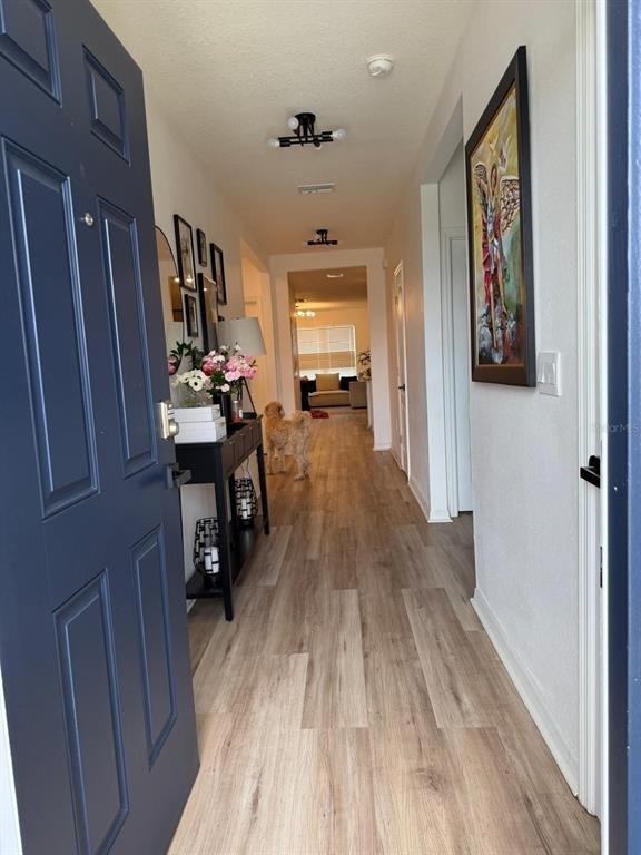 5268 Maddie Drive - Photo 12