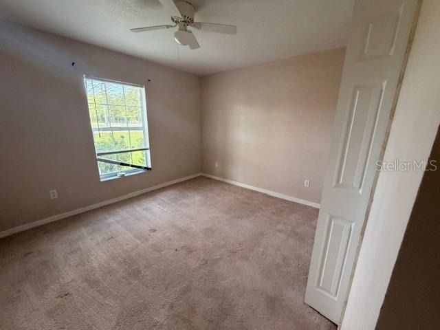 19 Pecan Pass Terrace - Photo 11