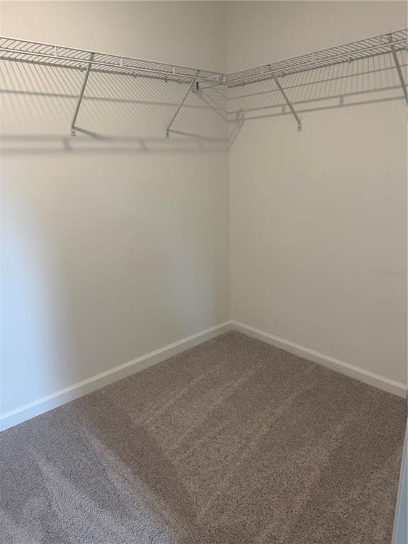 5176 Clay Whaley Road - Photo 14