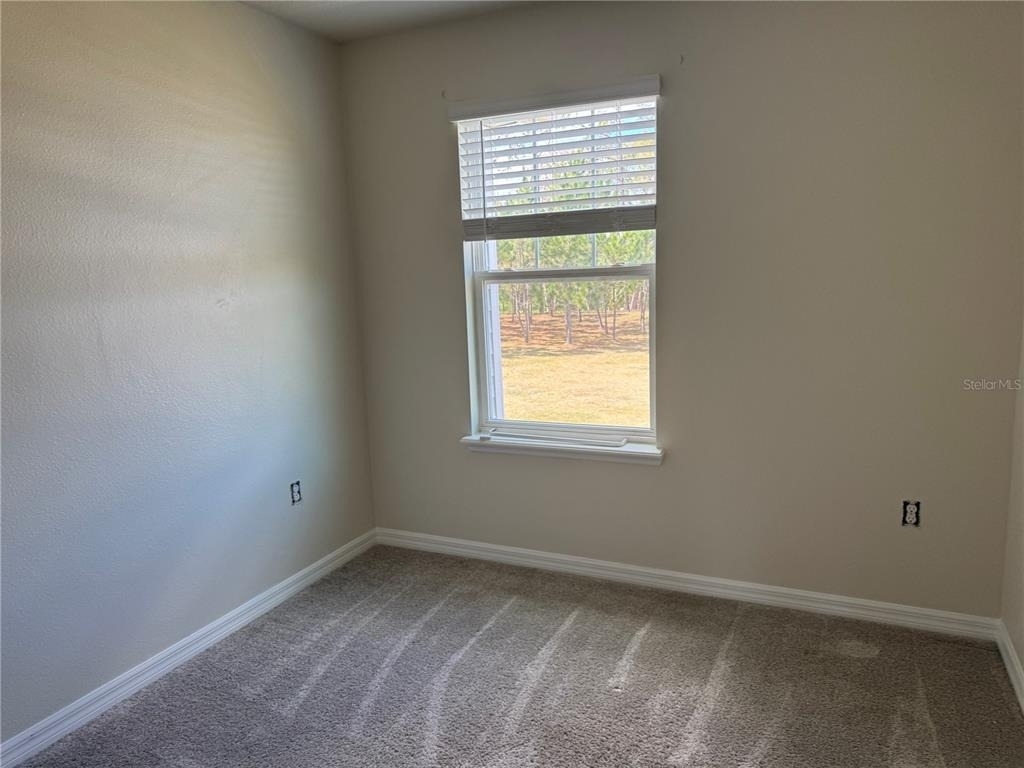 2228 Gopher Tortoise Terrace - Photo 17