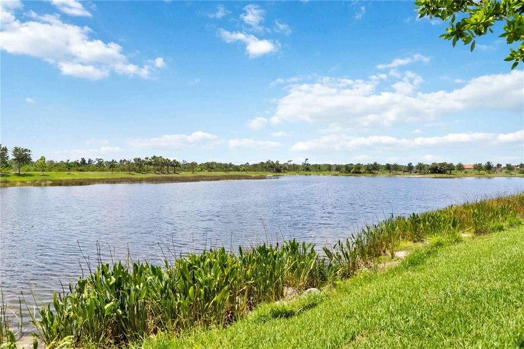 10805 Tarflower Drive - Photo 42