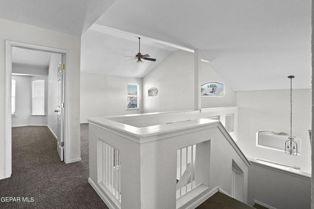 11229 William Mccool Street - Photo 16