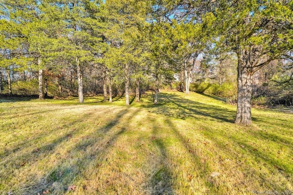 443 Benson Road - Photo 12