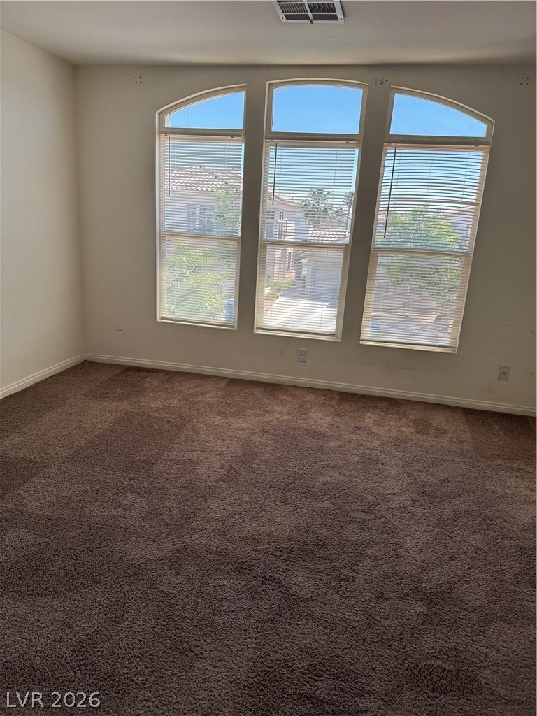 8412 Diamond Dust Drive - Photo 9
