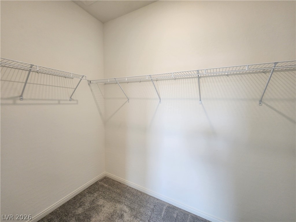 1553 Crowned Eagle Street - Photo 21