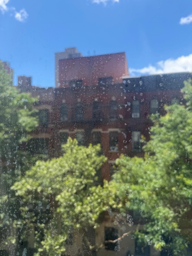 East 85th Street - Photo 6