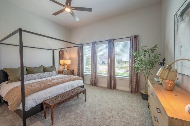 3116 Winter Rose Way - Photo 12