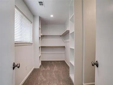 6919 Echo Bluff Drive - Photo 11