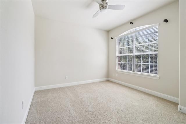 8316 Lindsay Gardens - Photo 21