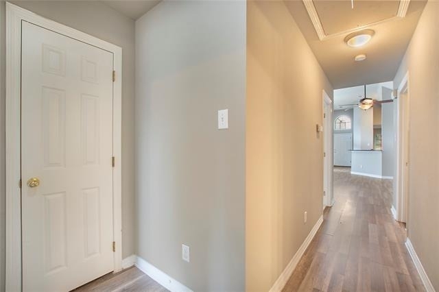 4111 Midrose Trail - Photo 3