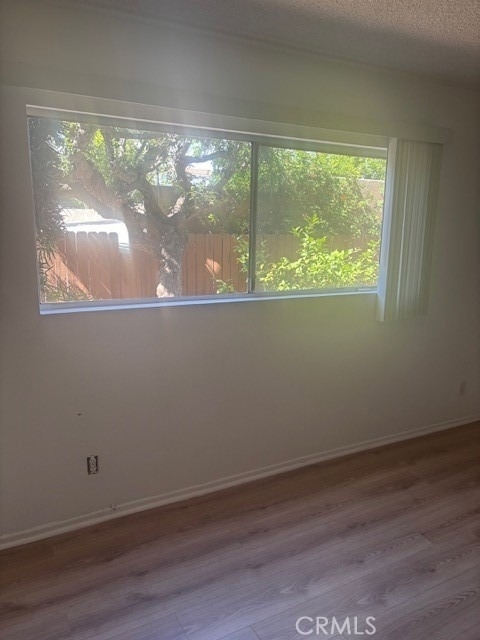 12203 Magnolia - Photo 7