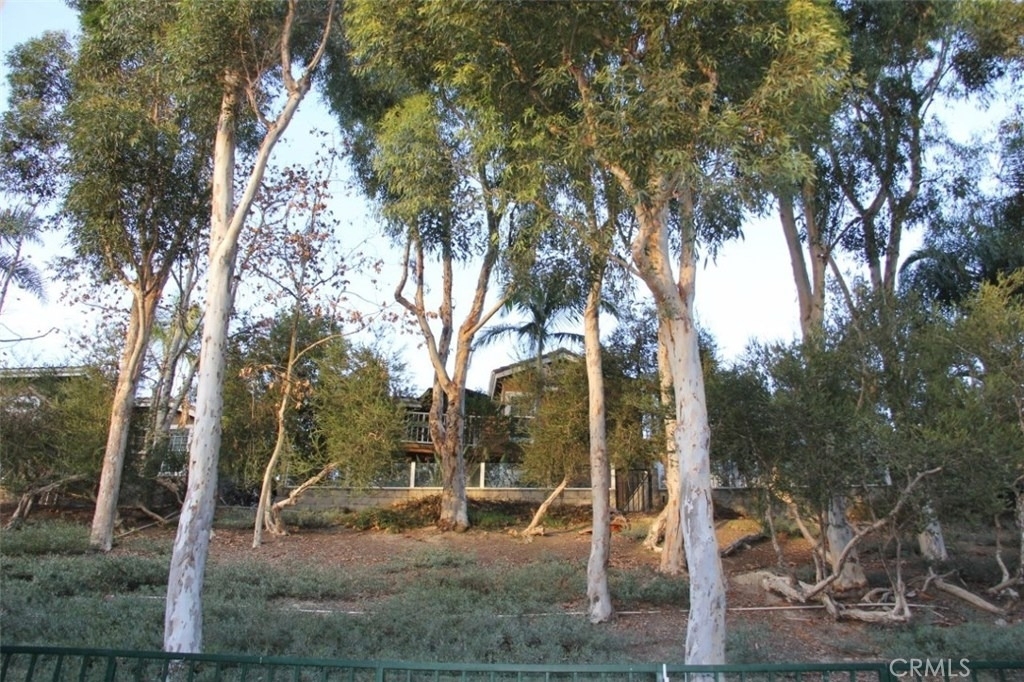 122 Gauguin Circle - Photo 13