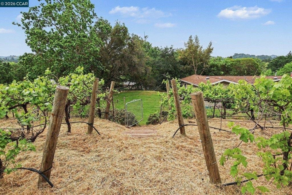 4 Dale Court - Photo 31