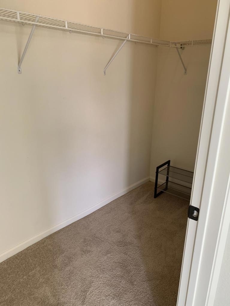 78780 Birchcrest Circle - Photo 14