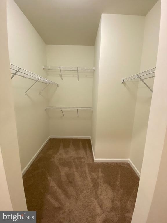 697 Rivanna Run - Photo 18