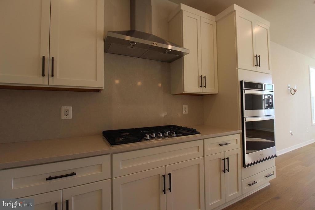 22383 Roanoke Rise Terrace - Photo 11