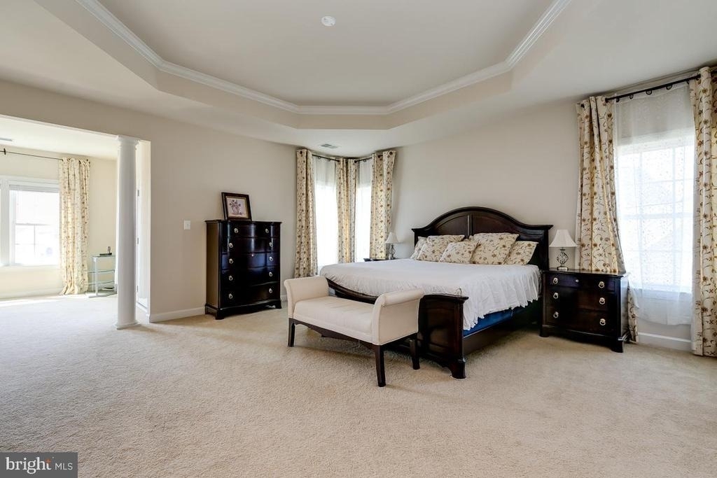 42463 Pine Forest Drive - Photo 14