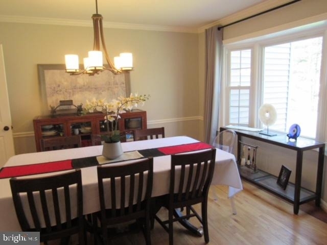 11903 Latigo Lane - Photo 17