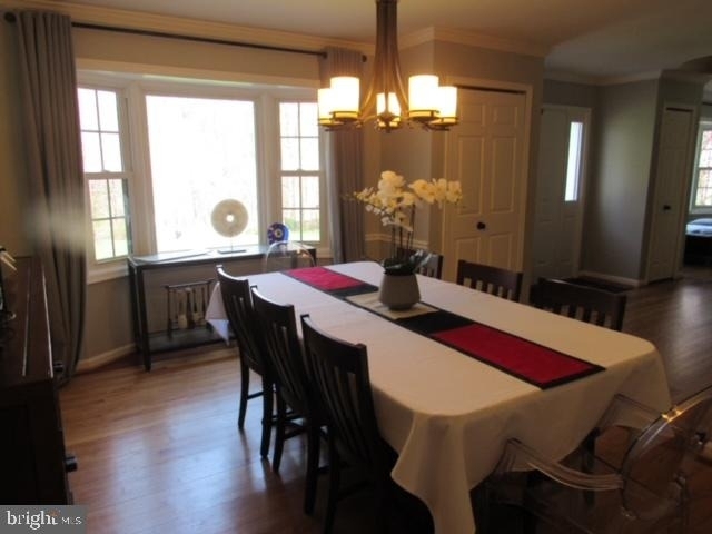 11903 Latigo Lane - Photo 16