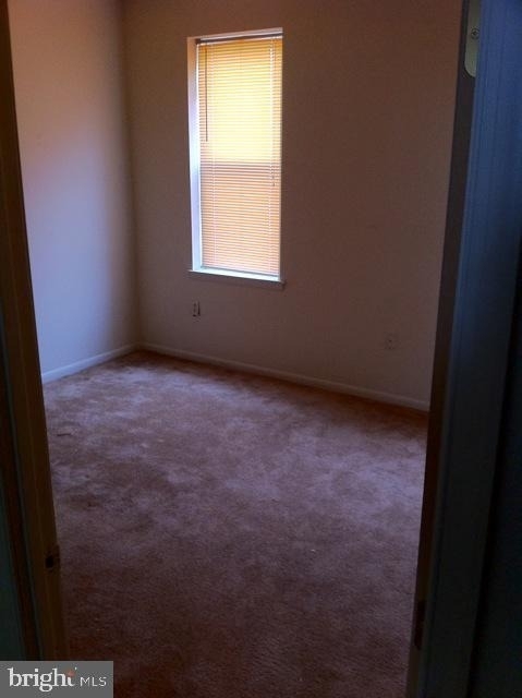 1438 Snyder Avenue - Photo 3