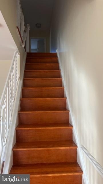 10113 Jeanes Street - Photo 4