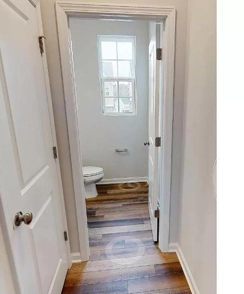 1253 Herb Garden Way - Photo 5