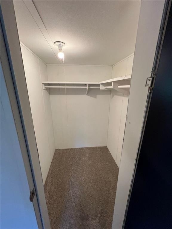 3700 Ash Drive - Photo 10