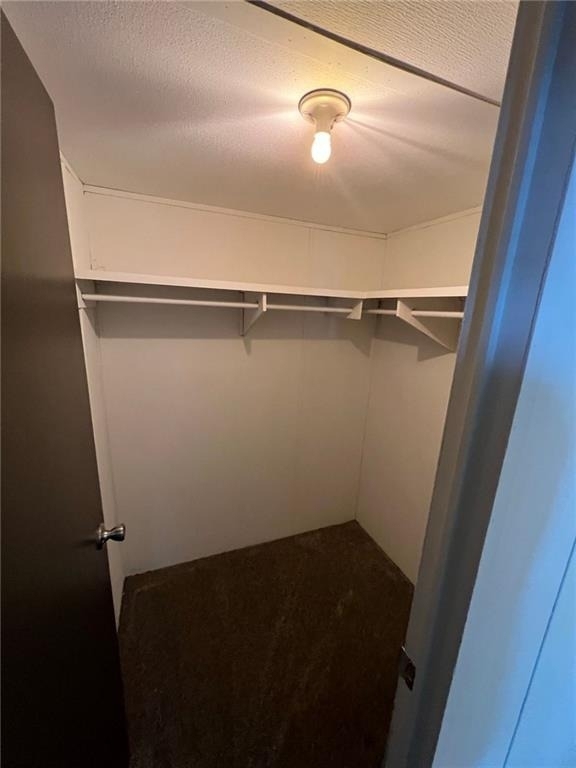 3700 Ash Drive - Photo 13