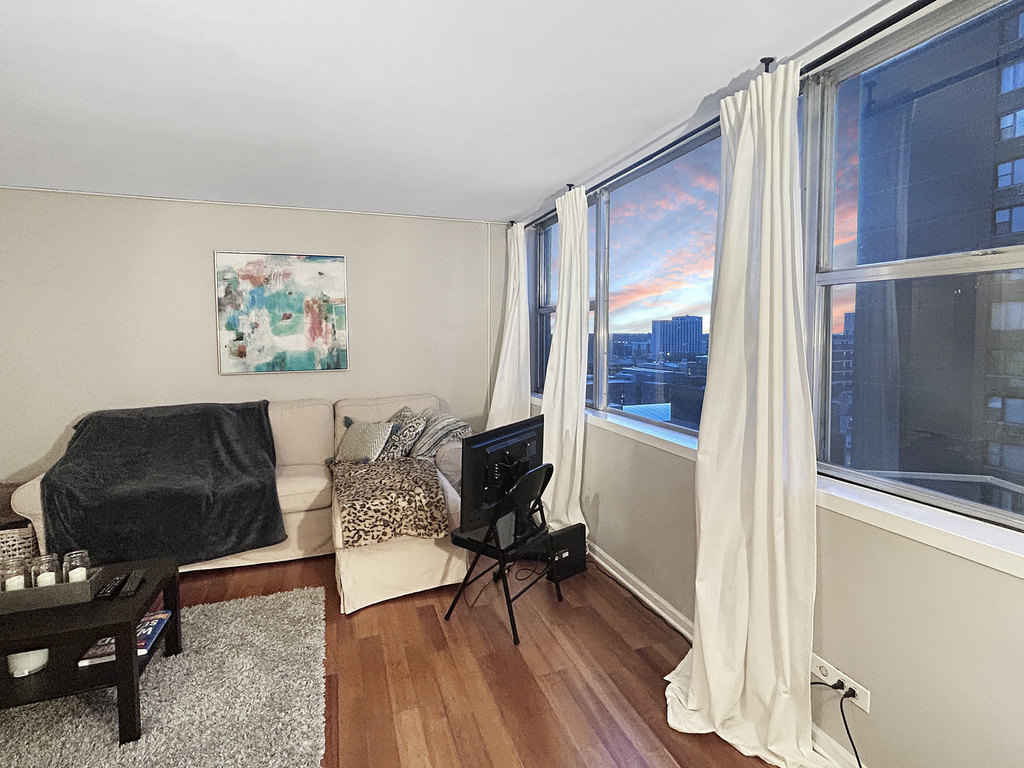 6301 N Sheridan Road - Photo 3