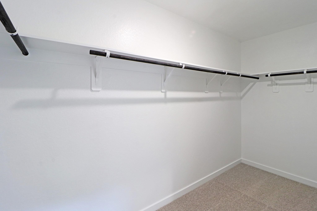 2522 Cactus Ranch Lane - Photo 9