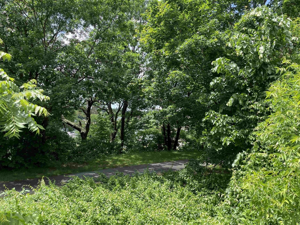 11 Railroad - Photo 31