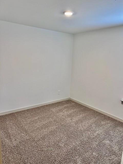 5026 Pine Haven Lane Lane - Photo 14