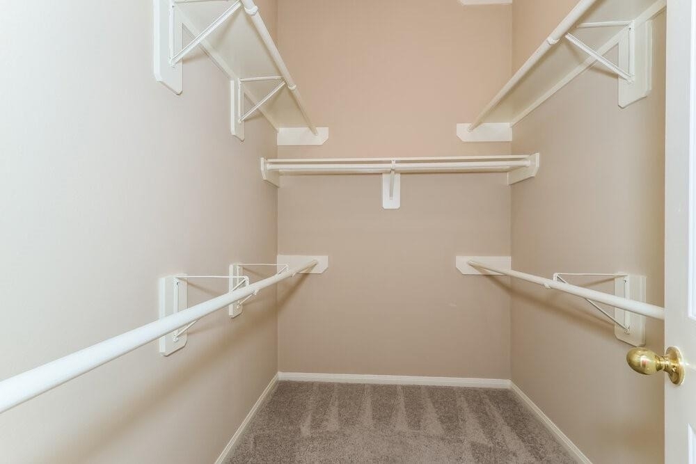3223 Spring Ranch Lane - Photo 9
