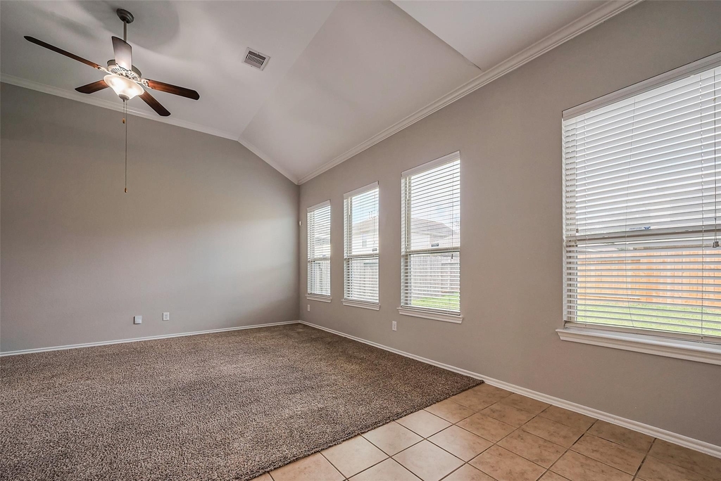 1910 Vermillion View Street - Photo 11